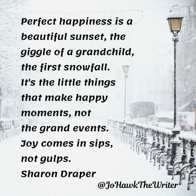 perfect-happiness-is-a-beautiful-sunset-the-giggle-of-a-grandchild-the-first-snowfall.-its-the-little-things-that-make-happy-moments-not-the-grand-events.-joy-comes-in-sips-not-gulps.-sh